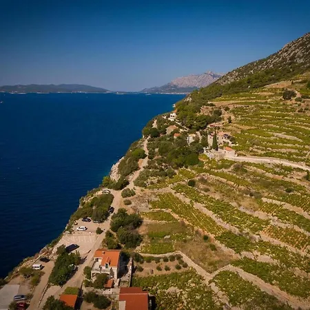 Vakantiehuis House With A Swimming Pool Podobuce, Peljesac - 21882